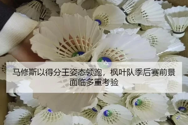马修斯以得分王姿态领跑，枫叶队季后赛前景面临多重考验